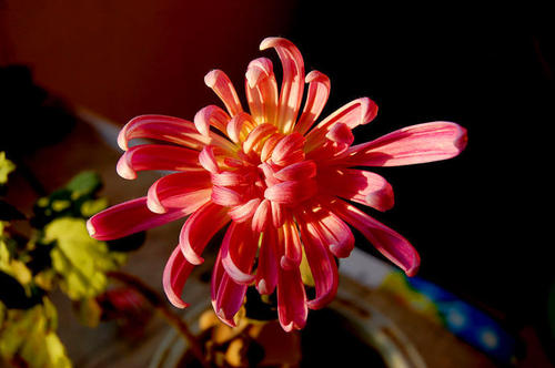 1603350664101770.jpg 78.jpg