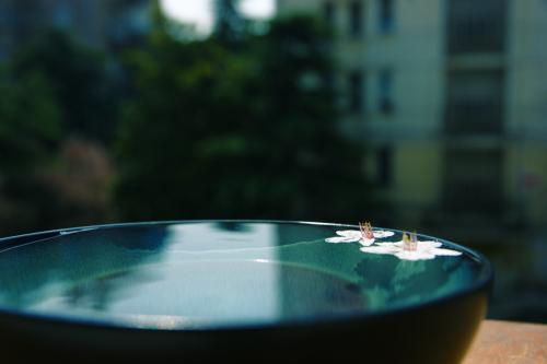 1603350934132572.jpg 5.jpg