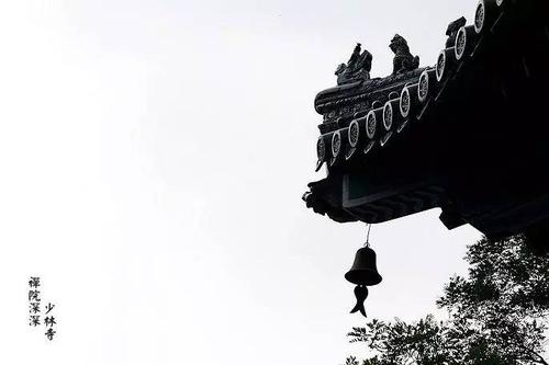 1603350989804005.jpg 14.jpg