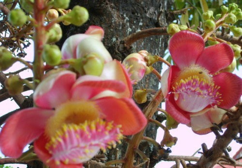 1603415535108233.jpg 微信图片_20200911110343.jpg