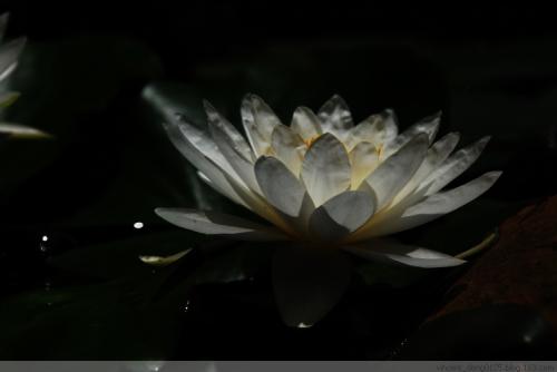 1603416075256211.jpg 微信图片_20200911134713.jpg