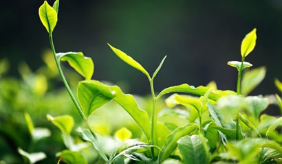 1603416083121237.jpg 微信图片_20200911134905.jpg