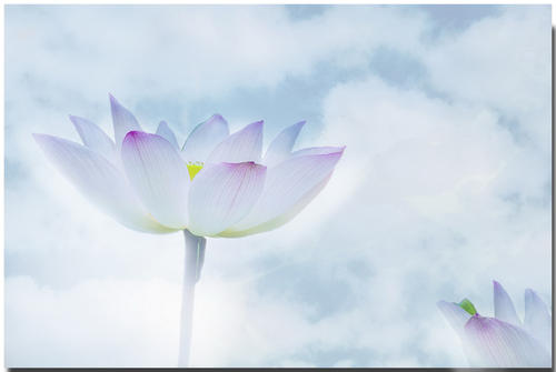 1603416104114546.jpg 微信图片_20200911134726.jpg