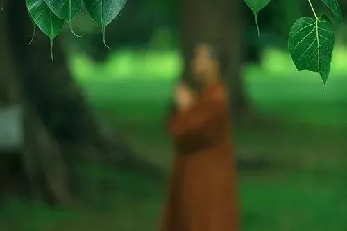 1603674849140283.jpg 微信图片_20201007114603.jpg