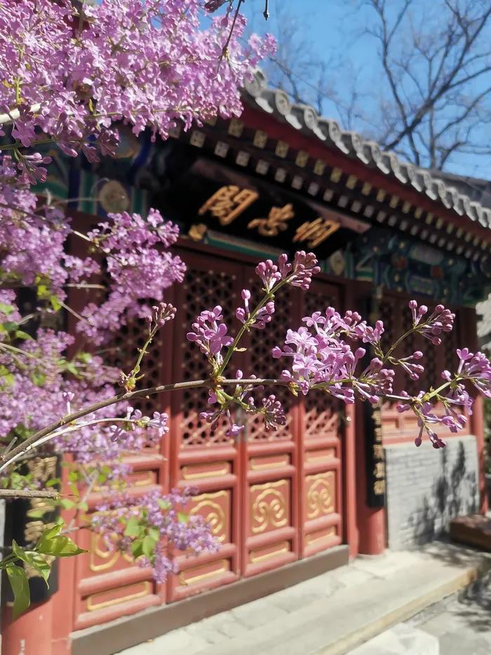 微信图片_20200921135034.jpg