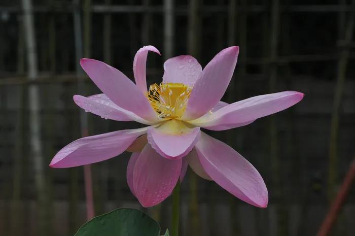 微信图片_20200921102047.jpg