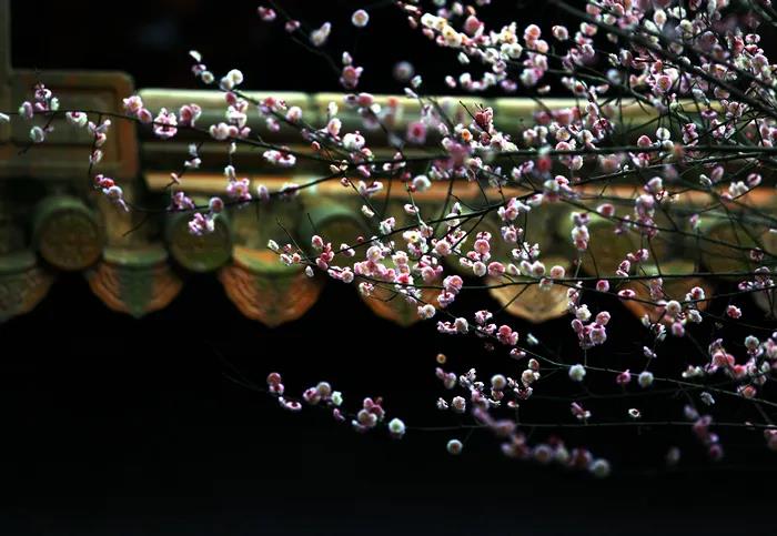 1603847816139078.jpg 微信图片_20200921105210.jpg