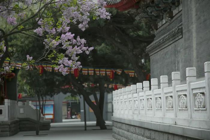 微信图片_20200921105932.jpg