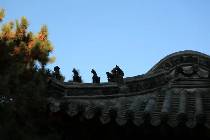 微信图片_20200921105929.jpg