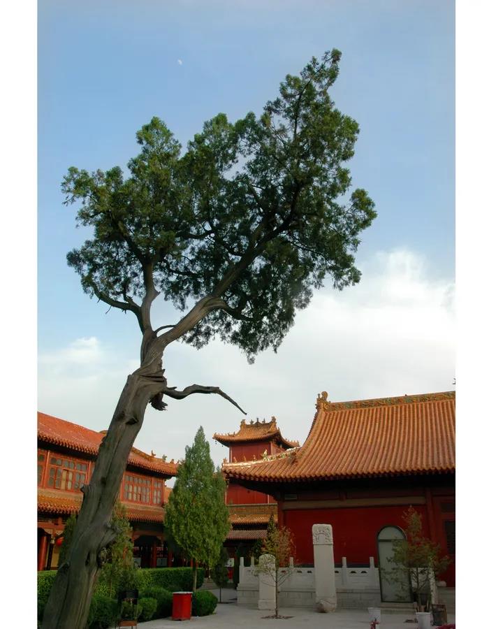 微信图片_20200921110326.jpg
