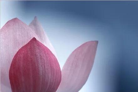 1603868469565437.jpg 19.jpg