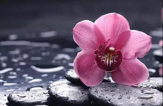 1603934824100870.jpg 13.jpg