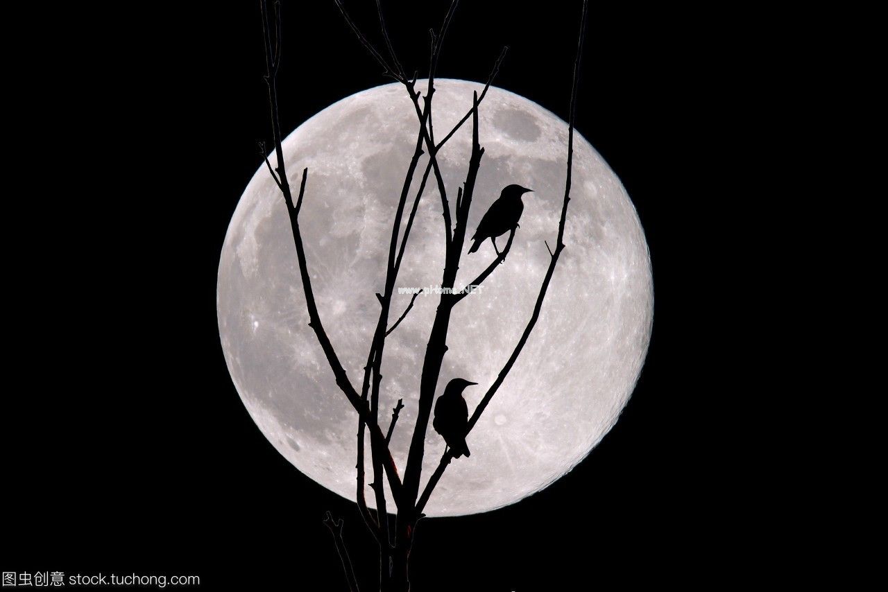 1603961799523008.jpg 21.jpg