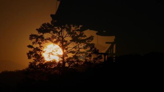 1604027914218343.jpg 21.jpg