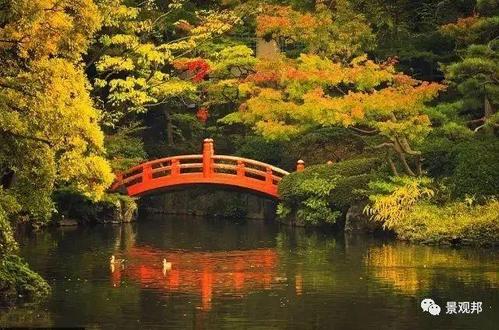 1604048445102480.jpg 14.jpg