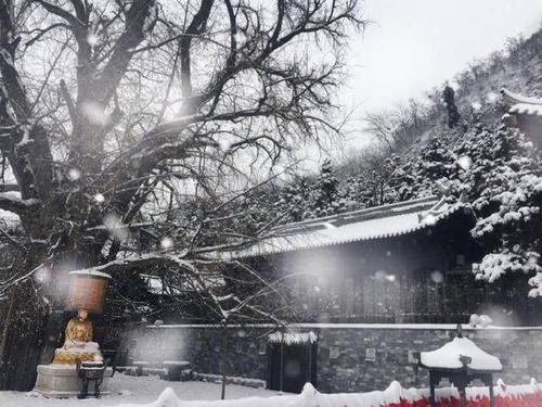 1604048520666605.jpg 16.jpg