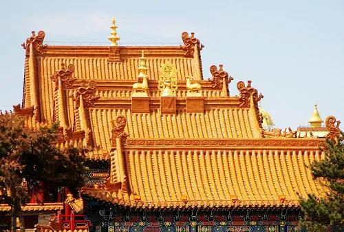 微信图片_20201102135832.jpg