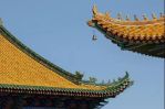 社字门