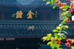知过现未来业报智力