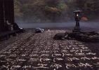 云横山