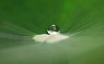 普眼三昧门