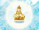 入一切佛境智陪卢遮那藏经