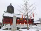 禅师法慎《佛祖统纪》