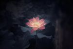 禅师智拔《佛祖统纪》