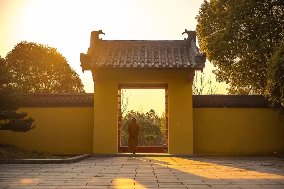 微信图片_20201105115314.jpg