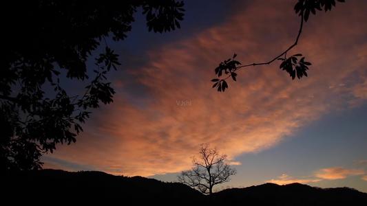 1605682339115871.jpg 20.jpg