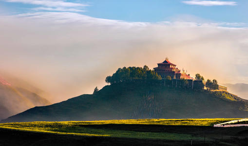 1605688009107971.jpg 53.jpg