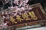 十九应身