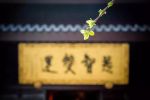 法师净源《佛祖统纪》