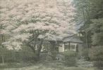 法智《佛祖统纪》