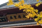 十业道