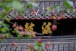 十念住生
