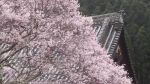 九无学