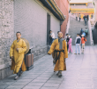 第二十五祖婆舍斯多《佛祖历代通载》