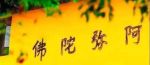 大施会
