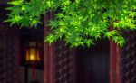 大梵天