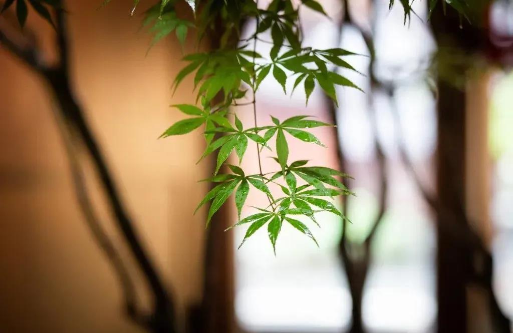 1605839311699008.jpg 微信图片_20201108112210.jpg