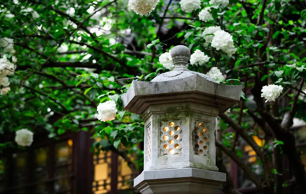 1605864448973680.jpg 微信图片_20201014162318.jpg