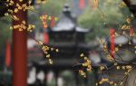 逝经
