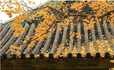 1606015930136410.png 5.png