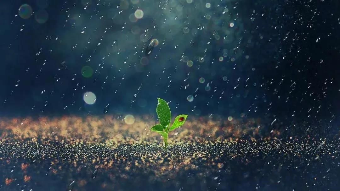 微信图片_20201108110626 - 副本.jpg