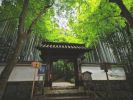 物外不迁（1794～1867年，日本）