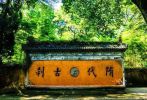 宋道琛《净土圣贤录》