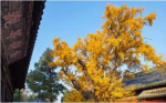 破邪显正