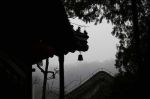 迦婆离迦