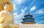根本惑
